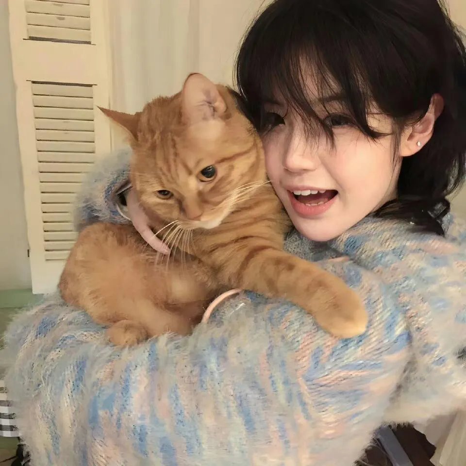 好莱坞医生